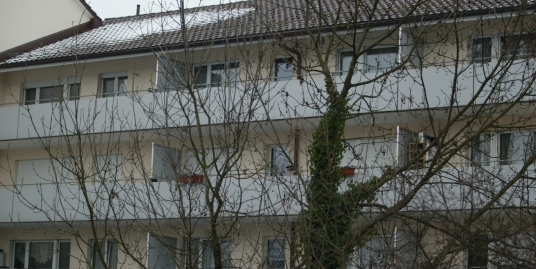 Mehrfamilienhaus in Goldach